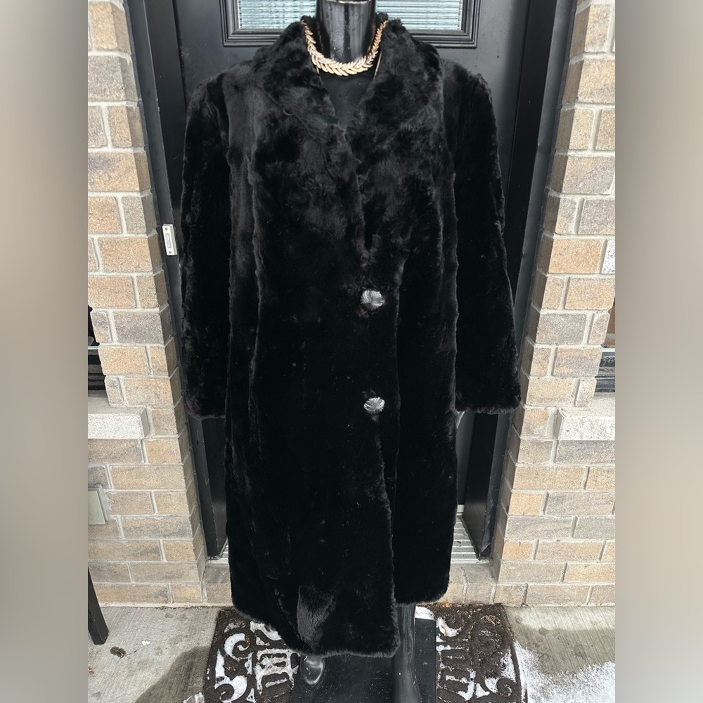 Elegant Hudson Seal Fur 🖤🦭
